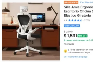 Silla Amia Ergonómica De Escritorio Oficina Soporte Lumbar Elástico Giratoria