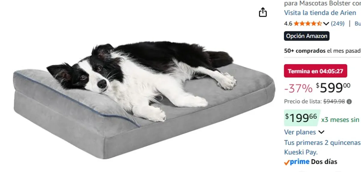 Arien Cama para Perro Grande, Cama para Perros L Lavable con Almohada