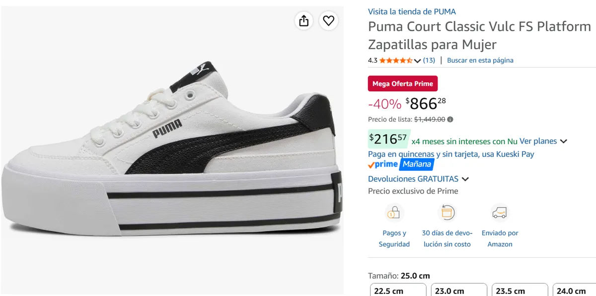 Puma Court 