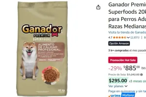 Ganador Premium Superfoods 20kg, Alimento para Perros Adultos de Razas Medianas y Grandes.