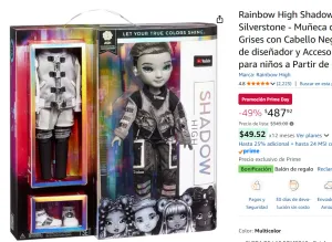ASH DE RAINBOW HIGH