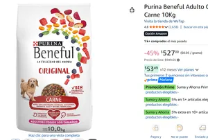 Purina Adulto 